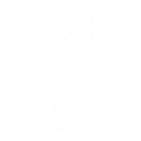 ico 11
