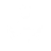 ico 13